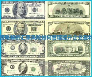 有效策略解析汇率风险如何管理提升企业盈利能力